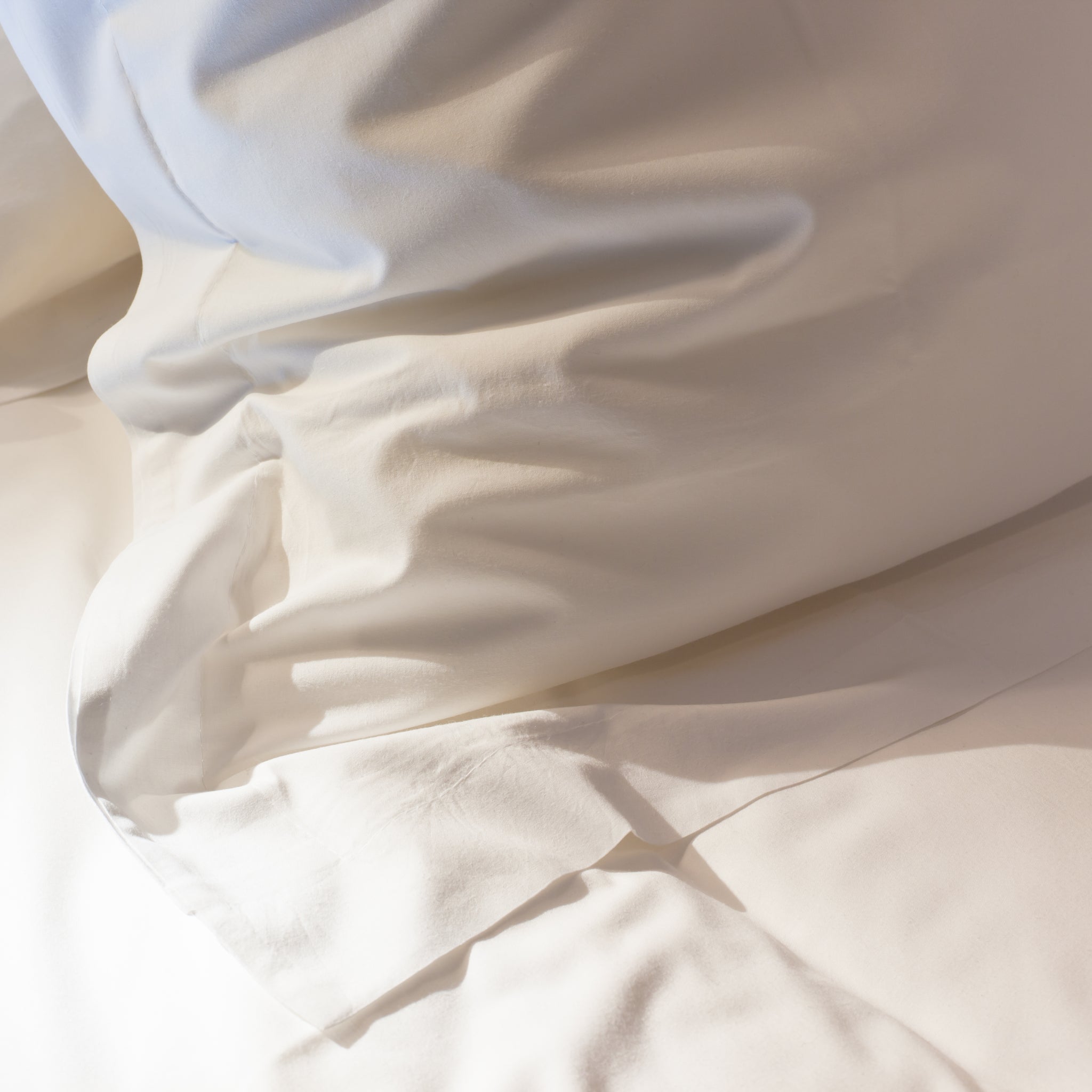 Resilient Sateen 100% Tencel King Pillow Cases